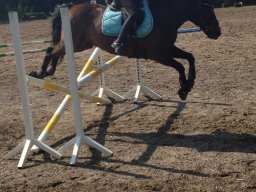 img_4452_web